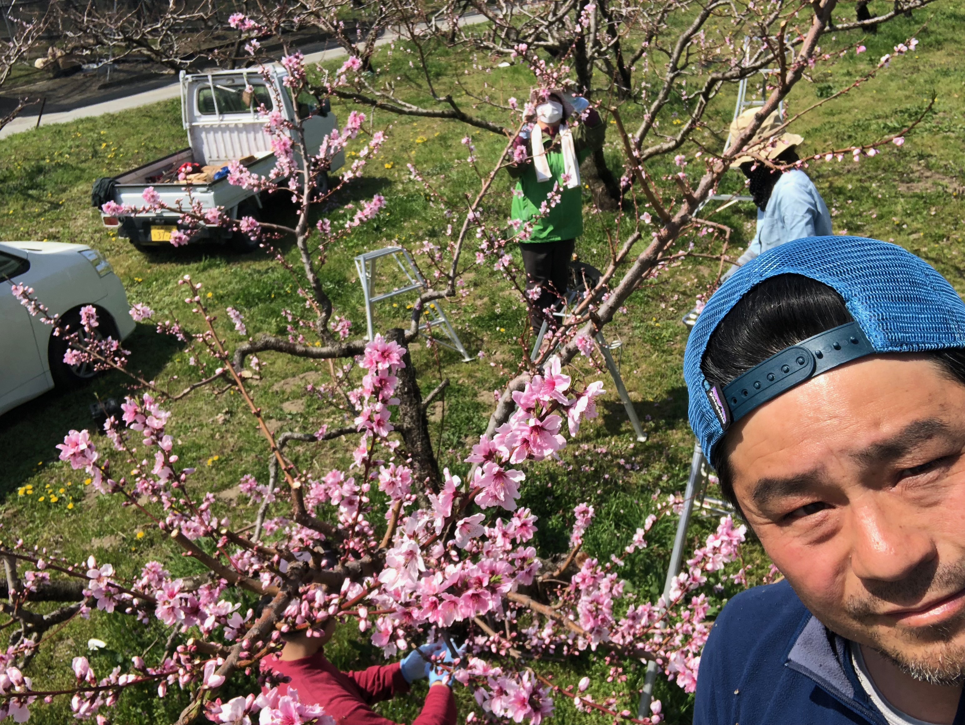 金丸文化農園 春の農作業体験募集!!2019